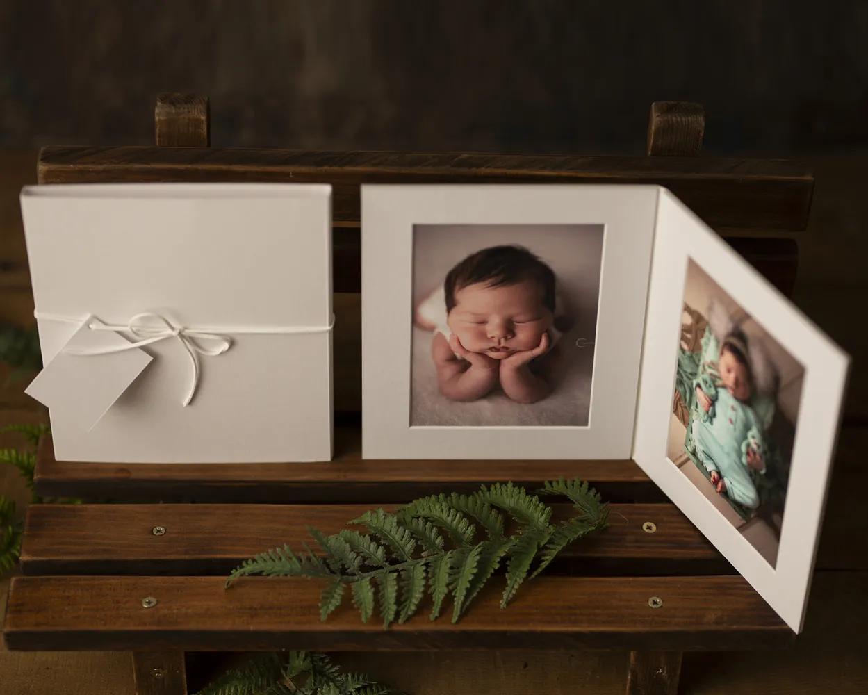 Dípticos Trípticos Cuadrípticos PP (Con foto)