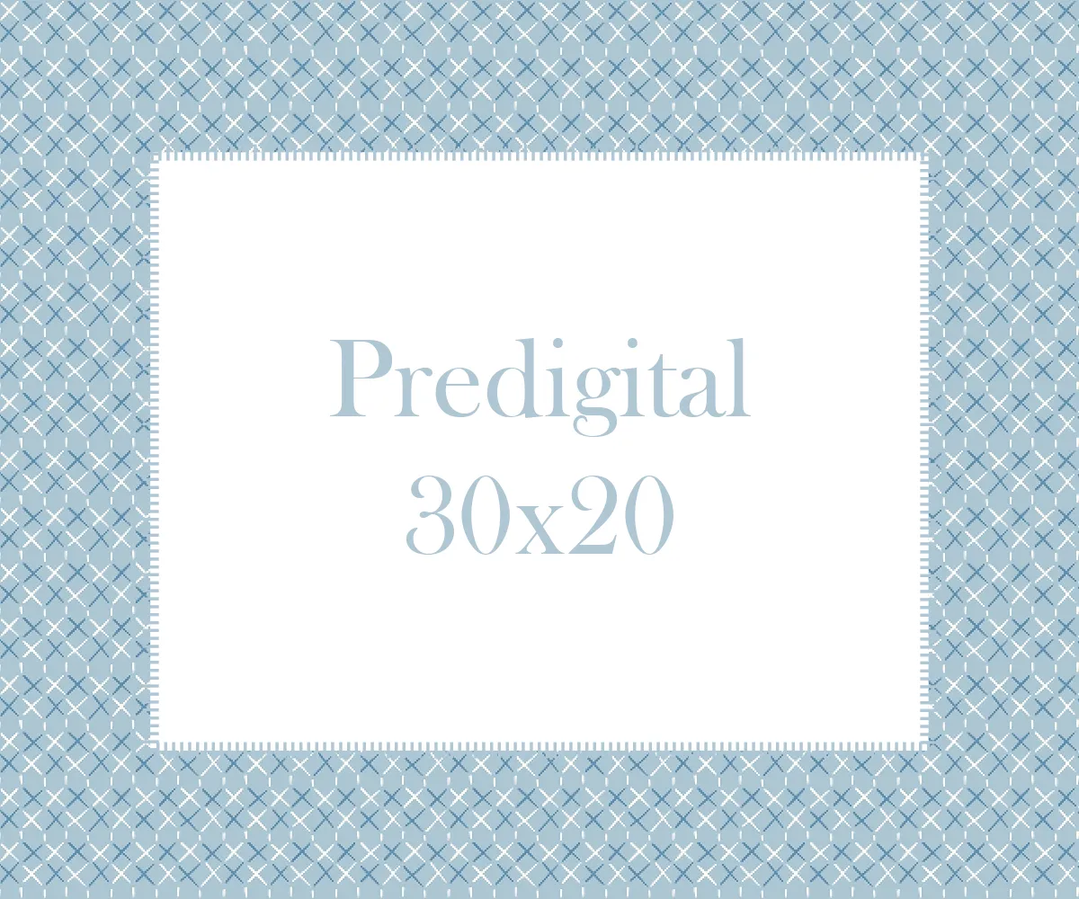 Predigital 30x20