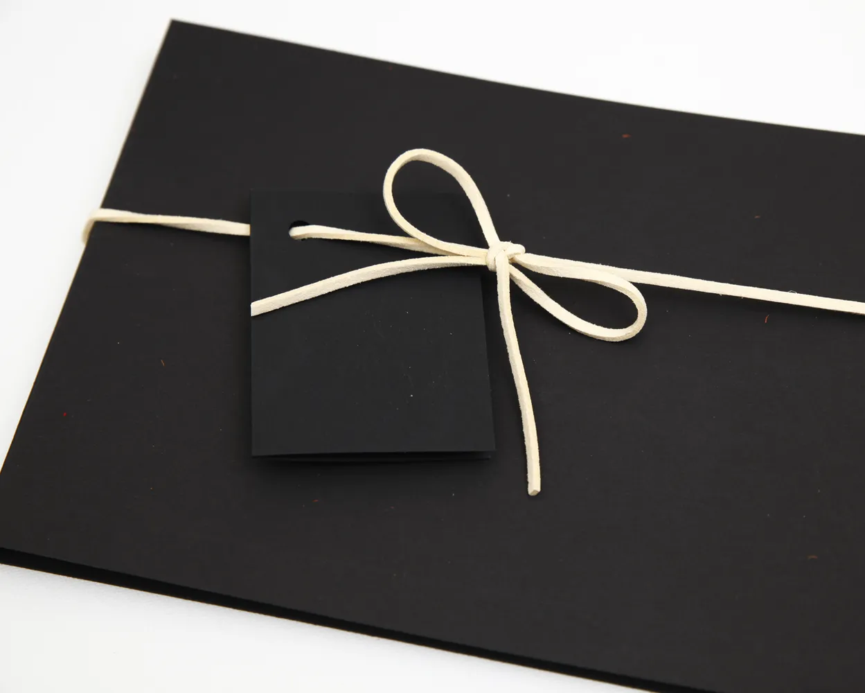 Acordeón de Fotos (Analógico) Sin Foto