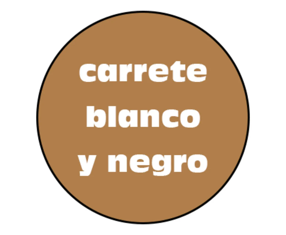 Revelado y escaneo blanco y negro 35mm