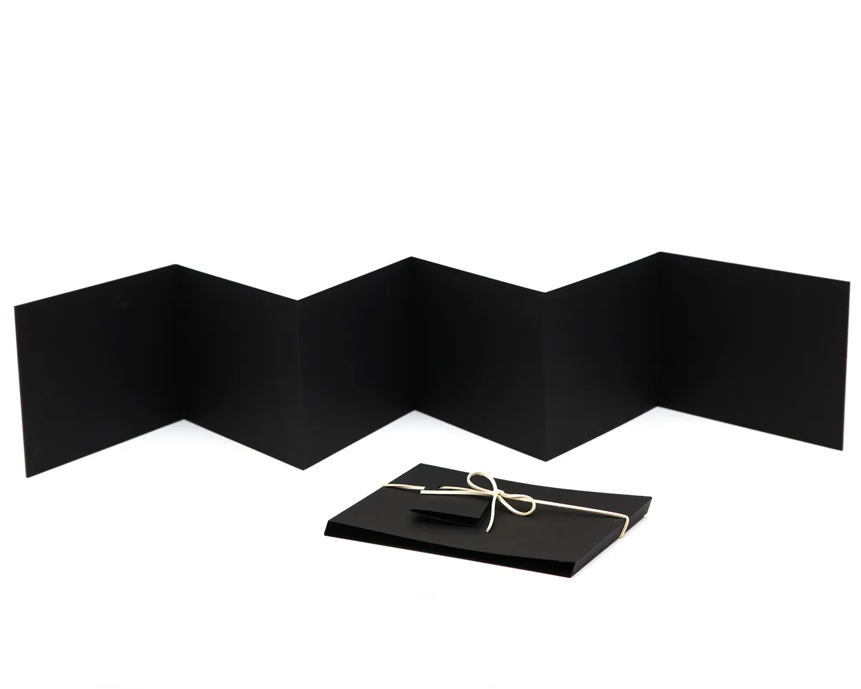 Acordeón de Fotos (Analógico) Sin Foto